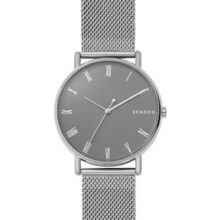 ساعت مچی مردانه اسکاگن(Skagen) اصل| مدل SKW6428